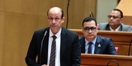 لمدة عام أو عامين.. النائب سمير البيومي بطالب بإعادة الموازنة إلى الحكومة وتأجيل المشروعات غير ذات الأهمية