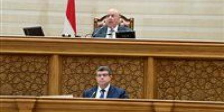 النائب محمد سليمان يستعرض تعديل قانون ضريبة الدمغة أمام البرلمان