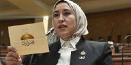 النائبة صافيناز طلعت: تعديل ضريبة الدمغة الحالي يضر بالاستثمار ويدفع المستثمرين للخروج من السوق المصري