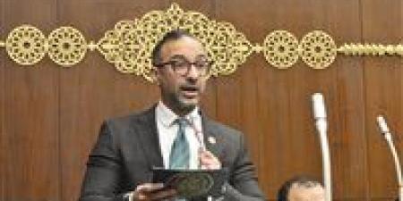 ضمن إنجازات مجلس الشيوخ.. مقترح الحمامصي لتصدير العقار يتحول إلى توصيات رسمية