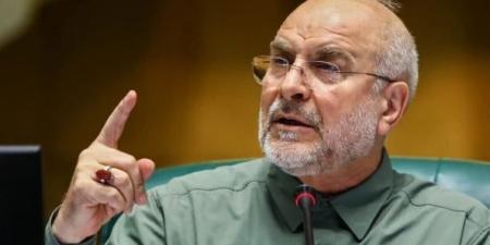 رئيس البرلمان الإيراني: مستعدون للتعاون مع دول المنطقة على أساس عدم التدخل في الشؤون الداخلية