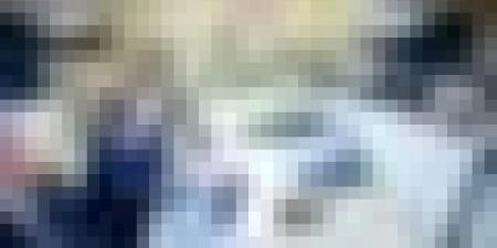 تأسيس المجلس الأعلى للجالية العلمية الوطنية بالخارج