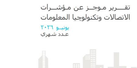 تأسيس 287 شركة تكنولوجيا معلومات جديدة برأسمال 450 مليون جنيه