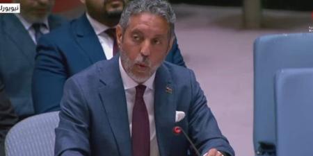 مندوب ليبيا: ضبط الإنفاق وملاحقة الفاسدين ضرورة عاجلة