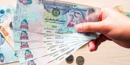 ارتفاع سعر الدرهم الإماراتي مقابل الجنيه المصري اليوم في البنوك