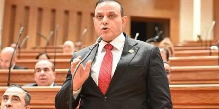 برلماني: توجيهات الرئيس السيسي بتحديث المناهج تدعم بناء نظام تعليمي عصري ومتطور