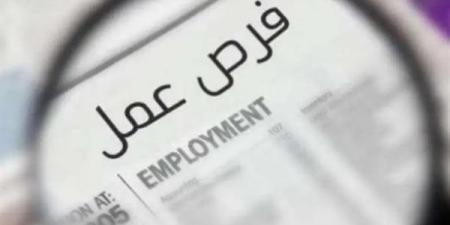 عاجل.. وظائف خالية في وزارة النقل للسائقين.. الشروط وطريقة التقديم والمزايا