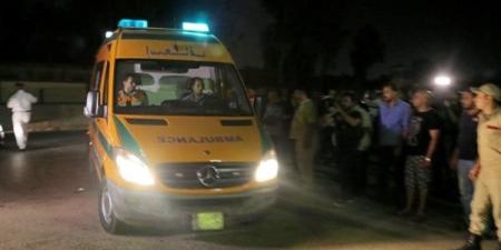 مصرع 3 من أسرة واحدة وإصابة 7 آخرين في حادث تصادم مروع بالغربية