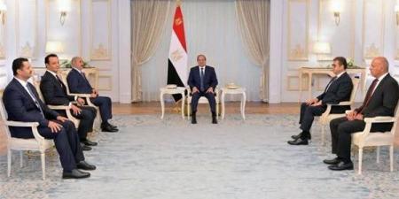 نائب: لقاء السيسي وحفتر يعكس رؤية مصرية متكاملة لإنهاء الانقسام الليبي
