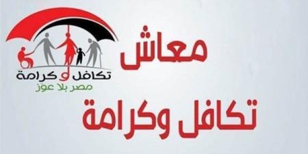 بالرقم القومي.. رابط الاستعلام عن تكافل وكرامة 2026 والخطوات