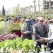 رئيس جامعة المنصورة يفتتح معرض زهور الربيع