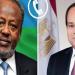 السيسي يجري اتصالًا هاتفيًا مع نظيره الجيبوتي ويهنئه بفوزه بولاية رئاسية جديدة
