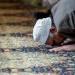 مواقيت الصلاة في مصر اليوم الخميس (تحديث)