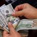 استقرار نسبي يسيطر على سعر الدولار في مصر