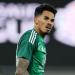 الأهلي السعودي يواصل متابعة تأهيل جالينو في البرازيل