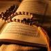 كيف يغير حفظ القرآن حياة الإنسان وسلوكه