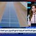خبير: شراكة مصر مع برنامج الأمم المتحدة الإنمائي تسريع التحول للصناعة الخضراء