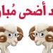 أجمل عبارات تهنئة عيد الأضحى 2026.. رسائل رسمية ودينية