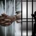 الامتناع عن تنفيذ حكم قضائي.. العقوبة القانونية في مصر للمسؤول والموظف العام