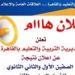 نتيجة الصفين الأول والثاني الثانوي 2026 القاهرة تظهر رسميًا اليوم داخل المدارس.. اعرف التفاصيل الكاملة
