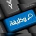 عاجل.. وسط الدلتا للكهرباء تعلن عن وظائف شاغرة.. الشروط وطريقة التقديم