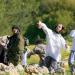 اعتداءات المستوطنين تحرم الفلسطينيين من مواسم الحصاد في الضفة الغربية