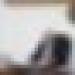 رئيس الجمهورية يأمر بفتح تحقيق حول النقائص التي سجلت خلال عملية أضاحي العيد خاصة في التنظيم والتوزيع