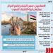 اقتصاديون: تراجع الدولار وارتفاع الاحتياطي الأجنبي يؤكدان تحسن أداء الاقتصاد المصري(انفوجراف )
