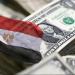 خبراء: توسع برنامج الطروحات يعزز ثقة المستثمرين ويدعم الاقتصاد المصري