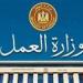 وزارة العمل تعلن عن 85 فرصة عمل بالإسماعيلية من بينها وظائف لذوي الهمم