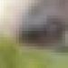 73 حريقًا خلال 24 ساعة وتواصل مكافحة 16 بؤرة عبر عدة ولايات