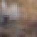 فيما لا يزال 13 قيد الإخماد.. تسجيل 173 حريقا خلال 24 ساعة الأخيرة
