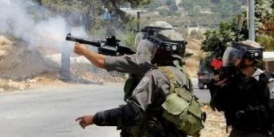 منذ 7 أكتوبر.. الاحتلال يعتقل 35 فلسطينيا بالضفة الغربية والحصيلة ترتفع لـ6985 معتقلا