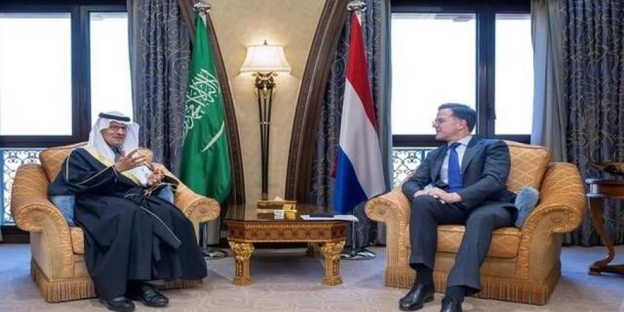 السعودية
      وهولندا
      تبحثان
      أوجه
      التعاون
      المشتركة
      بمجال
      الطاقة