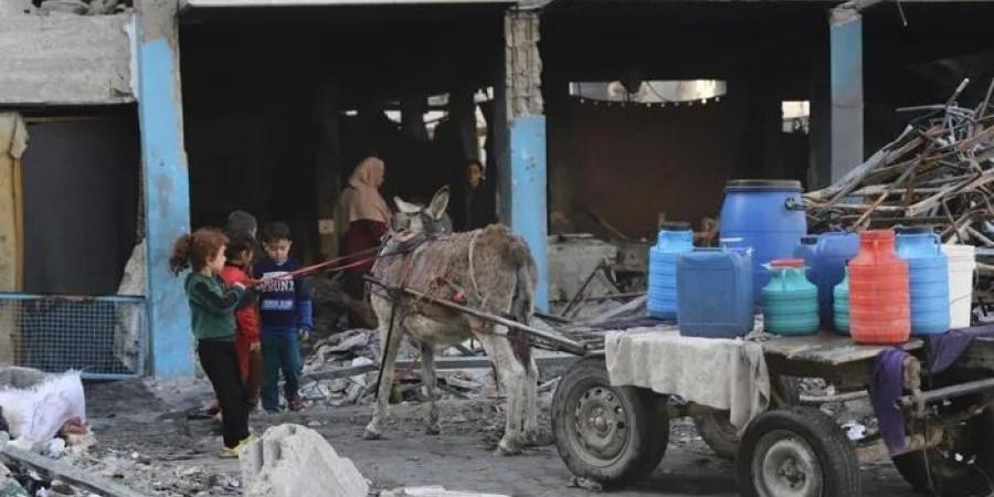 الصحة
      العالمية:
      الهجوم
      على
      رفح
      في
      غزة
      سيُسبب
      "كارثة
      لا
      يمكن
      تصورها"