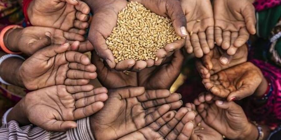 مسؤول
      أممي:
      عودة
      ارتفاع
      نسب
      الجوع
      في
      العالم
      تمثل
      عائقا
      كبيرا
      أمام
      التنمية