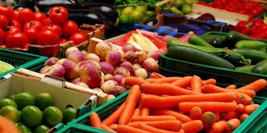 أسعار
      الخضار
      والفاكهة
      بسوق
      الجملة
      بأكتوبر
      اليوم
      الأحد