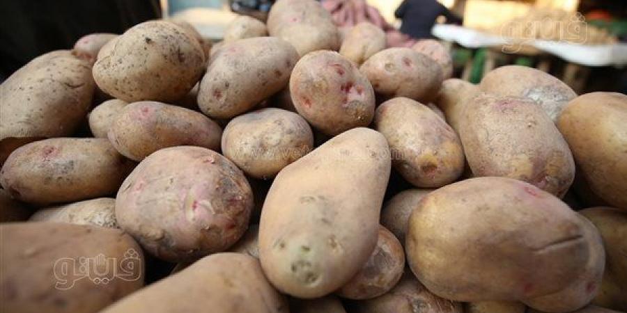 أسعار
      الخضراوات
      اليوم،
      سعر
      البطاطس
      يتراجع
      لـ
      10.5
      جنيه
      في
      سوق
      العبور