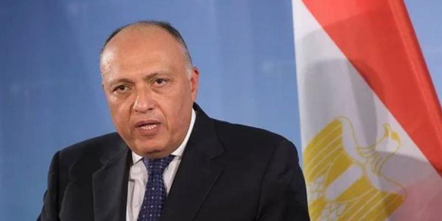 بيان
      عاجل
      من
      مصر
      بعد
      رفض
      مجلس
      الأمن
      الدولي
      قرار
      وقف
      إطلاق
      النار
      في
      غزة