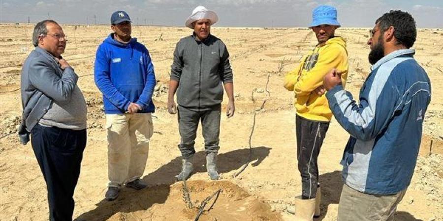الزراعة
      تواصل
      دعم
      المنتفعين
      من
      مشروع
      التجمعات
      الزراعية
      في
      شمال
      سيناء