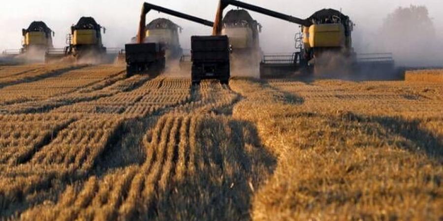المفوضية
      الأوروبية
      تقترح
      زيادة
      الرسوم
      الجمركية
      على
      منتجات
      الحبوب
      الروسية