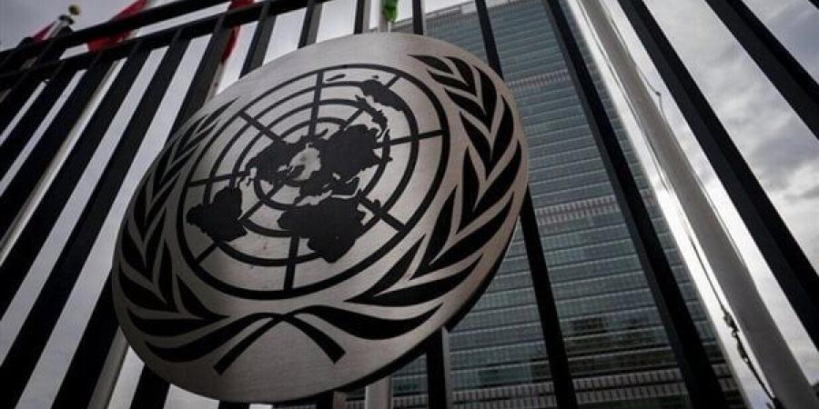 مقررة
      للأمم
      المتحدة:
      إسرائيل
      ترتكب
      تطهيرا
      عرقيا
      وإبادة
      جماعية
      بغزة
