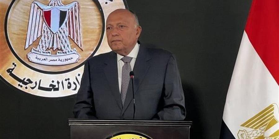 سامح
      شكري:
      الدبلوماسية
      استطاعت
      حماية
      مصالح
      مصر
      العليا
      وأمنها
      القومي