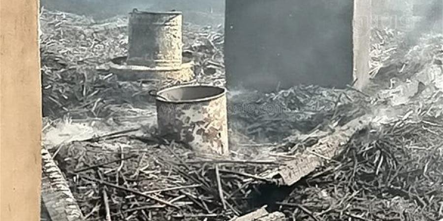 نفوق
      7
      آلاف
      كتكوت
      في
      حريق
      مزرعة
      دواجن
      بالإسماعيلية
      (صور)