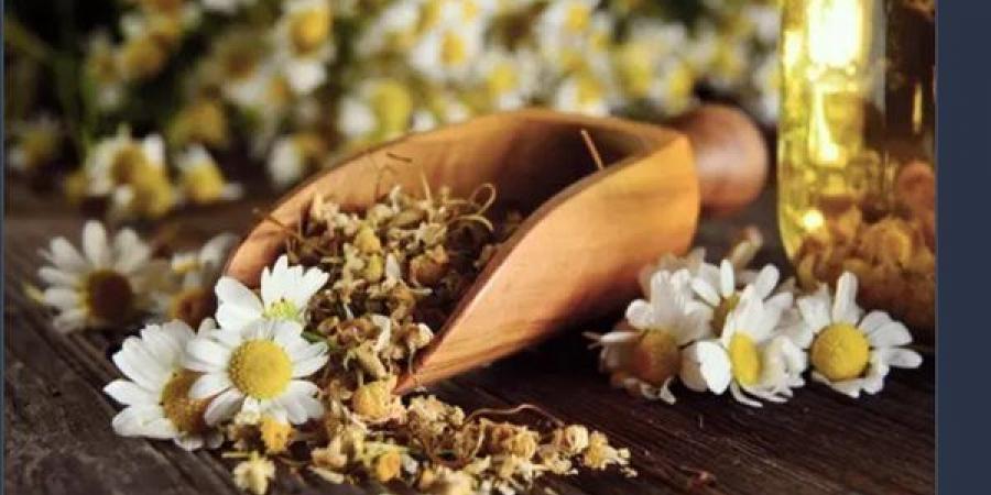 عشبة شهيرة تخفض ضغط الدم وتساعد على النوم