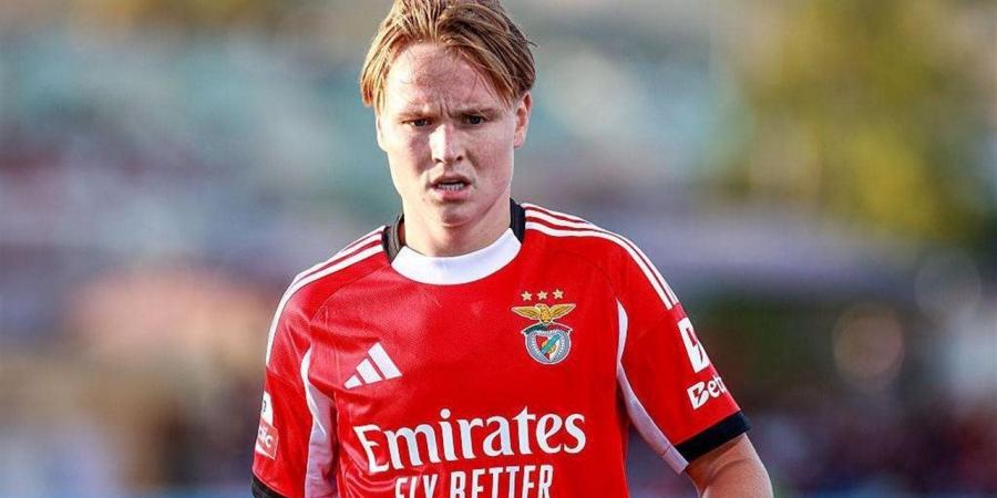 برشلونة يضع شيلدروب بديلًا لراشفورد وسط ترقب أوروبي لموهبة بنفيكا