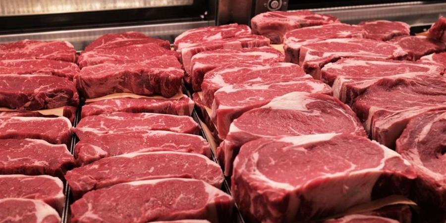 أسعار اللحوم في أسواق محافظة الغربية اليوم الأربعاء 1 أبريل 2026