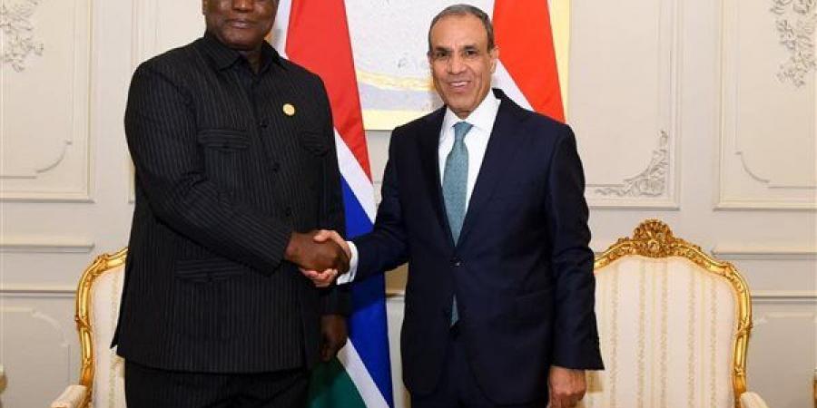 وزير الخارجية يبحث مع نظيره الجامبي تعزيز التعاون الثنائي وتكثيف التنسيق المشترك