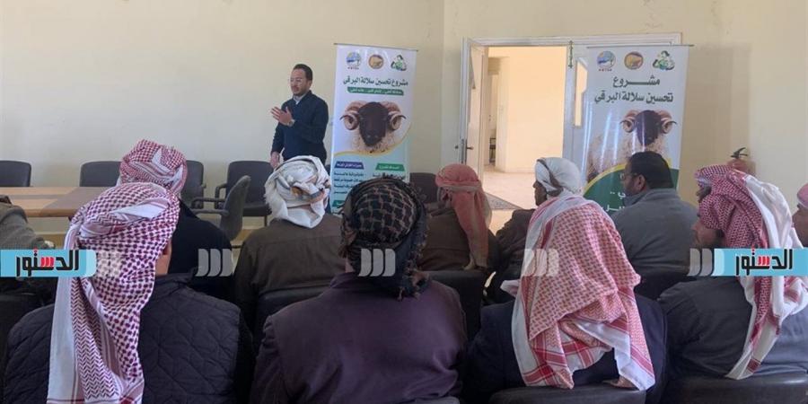 ندوة تدريبية بالنجيلة لتعزيز سلالة البرقي ورفع كفاءة الإنتاج الحيواني