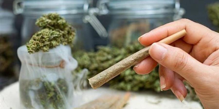 تعاطي القنب يغير بنية الدماغ ويفقدك القدرة على التفكير